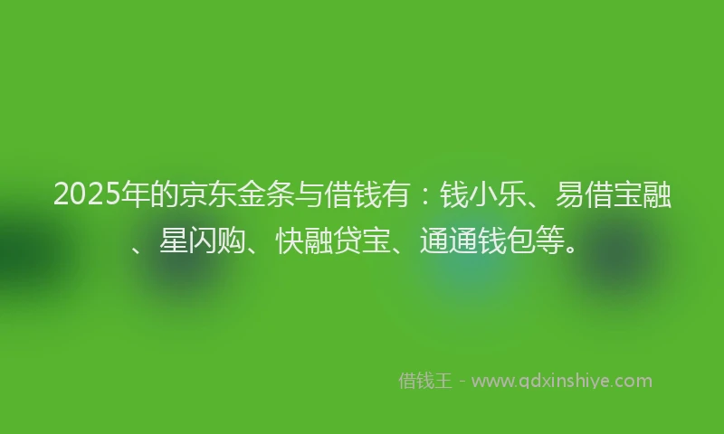 2025年的京东金条与借钱有：钱小乐、易借宝融、星闪购、快融贷宝、通通钱包等。