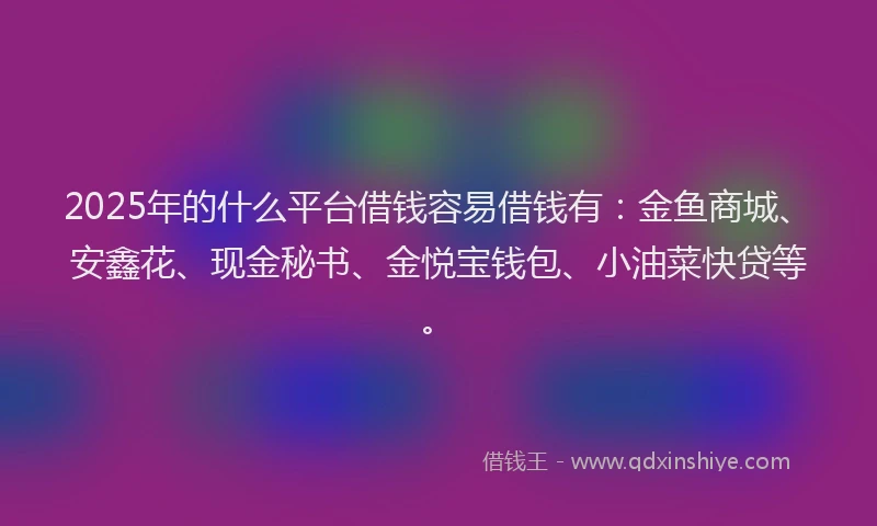 2025年的什么平台借钱容易借钱有：金鱼商城、安鑫花、现金秘书、金悦宝钱包、小油菜快贷等。