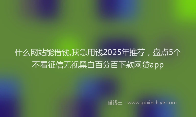什么网站能借钱,我急用钱2025年推荐，盘点5个不看征信无视黑白百分百下款网贷app