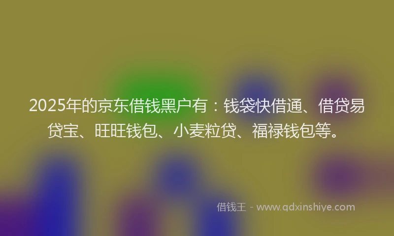 2025年的京东借钱黑户有：钱袋快借通、借贷易贷宝、旺旺钱包、小麦粒贷、福禄钱包等。