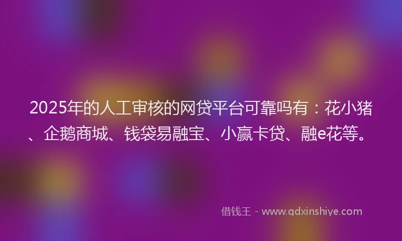 2025年的人工审核的网贷平台可靠吗有：花小猪、企鹅商城、钱袋易融宝、小赢卡贷、融e花等。
