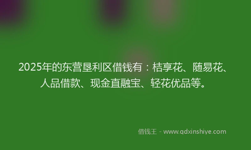 2025年的东营垦利区借钱有：桔享花、随易花、人品借款、现金直融宝、轻花优品等。