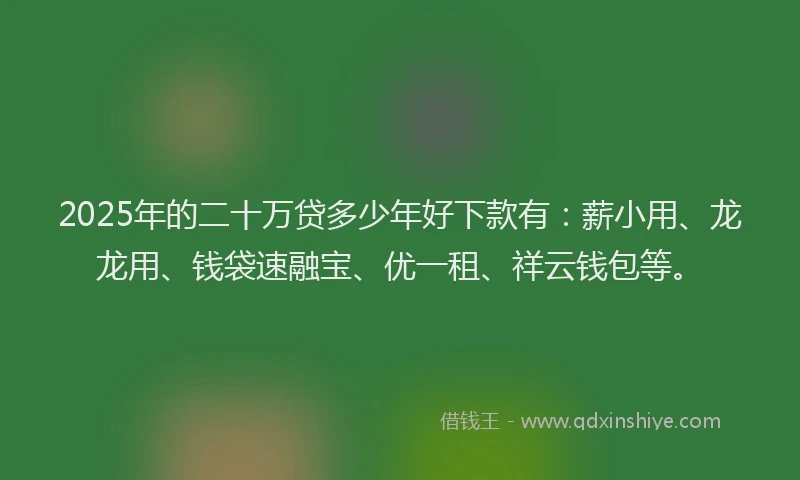 2025年的二十万贷多少年好下款有：薪小用、龙龙用、钱袋速融宝、优一租、祥云钱包等。