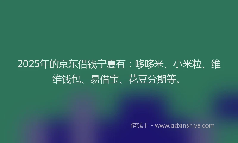 2025年的京东借钱宁夏有：哆哆米、小米粒、维维钱包、易借宝、花豆分期等。
