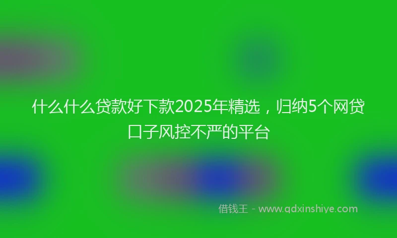 什么什么贷款好下款2025年精选，归纳5个网贷口子风控不严的平台