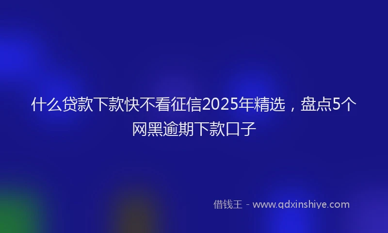 什么贷款下款快不看征信2025年精选，盘点5个网黑逾期下款口子