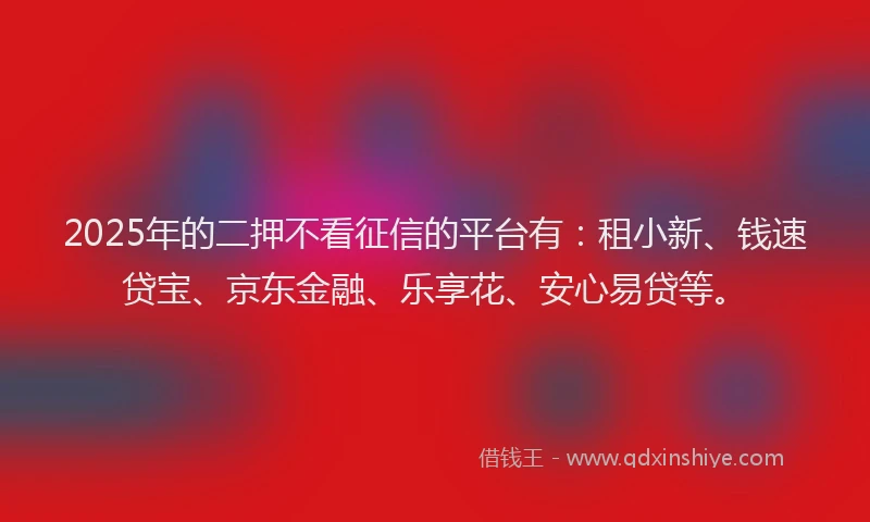 2025年的二押不看征信的平台有：租小新、钱速贷宝、京东金融、乐享花、安心易贷等。