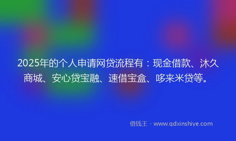 2025年的个人申请网贷流程有：现金借款、沐久商城、安心贷宝融、速借宝盒、哆来米贷等。