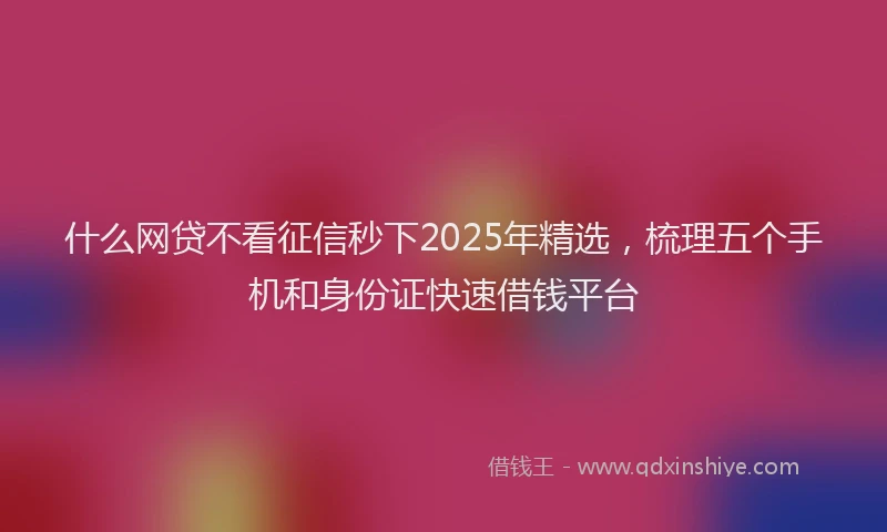 什么网贷不看征信秒下2025年精选，梳理五个手机和身份证快速借钱平台