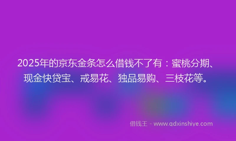 2025年的京东金条怎么借钱不了有：蜜桃分期、现金快贷宝、戒易花、独品易购、三枝花等。