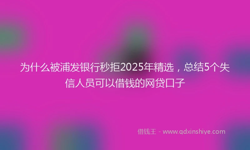 为什么被浦发银行秒拒2025年精选，总结5个失信人员可以借钱的网贷口子