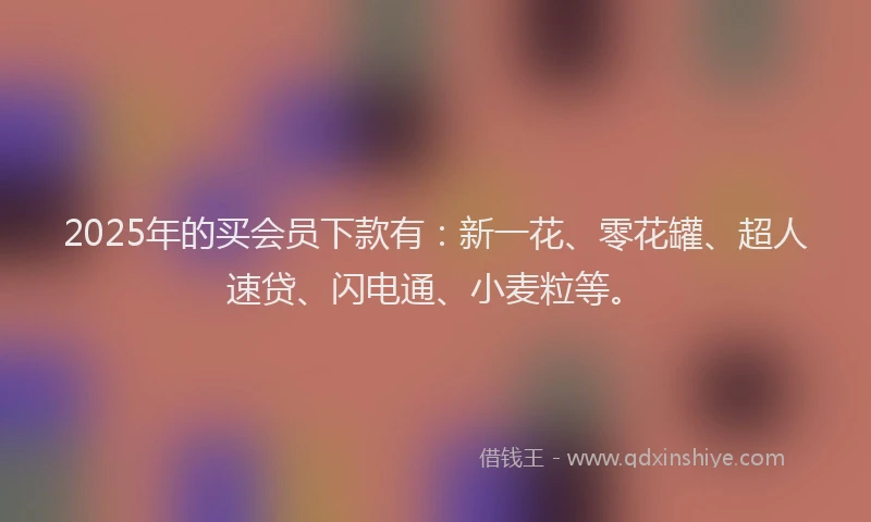 2025年的买会员下款有：新一花、零花罐、超人速贷、闪电通、小麦粒等。