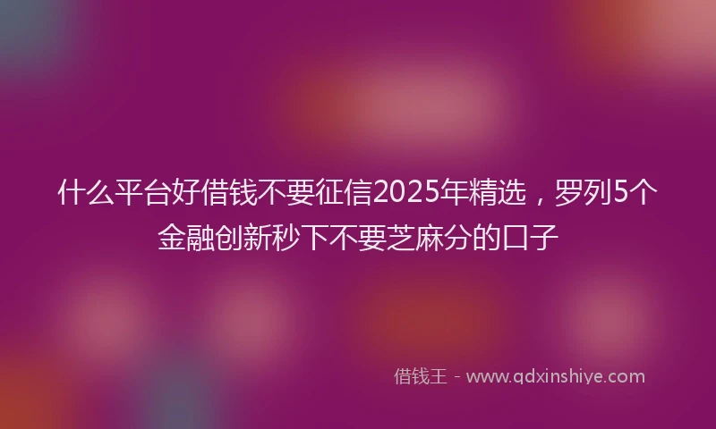 什么平台好借钱不要征信2025年精选，罗列5个金融创新秒下不要芝麻分的口子