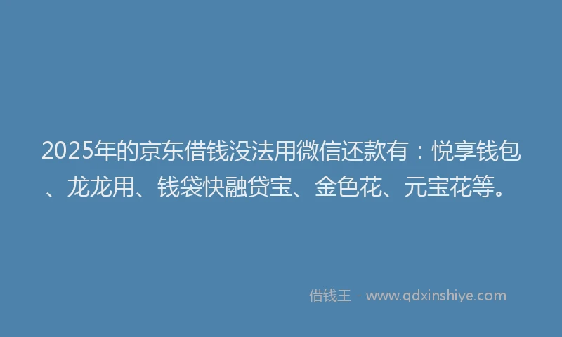 2025年的京东借钱没法用微信还款有：悦享钱包、龙龙用、钱袋快融贷宝、金色花、元宝花等。