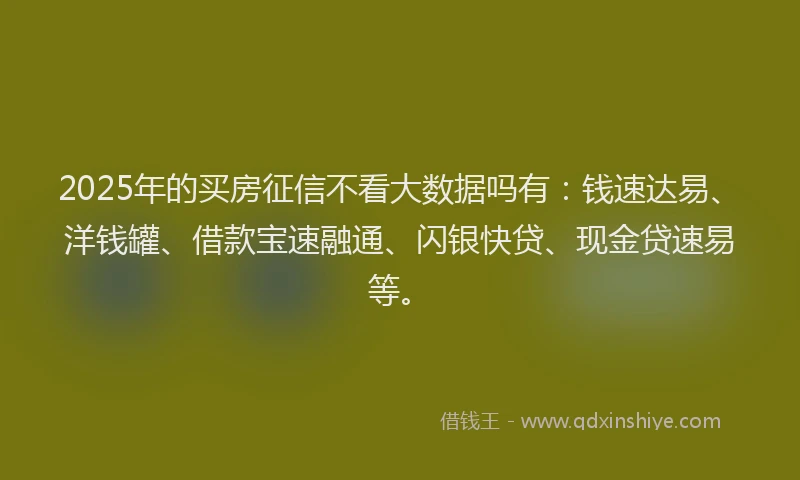 2025年的买房征信不看大数据吗有：钱速达易、洋钱罐、借款宝速融通、闪银快贷、现金贷速易等。