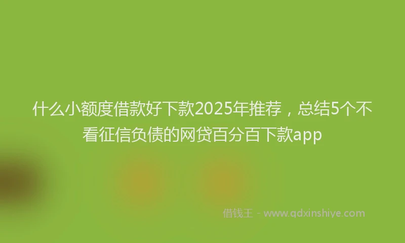 什么小额度借款好下款2025年推荐，总结5个不看征信负债的网贷百分百下款app