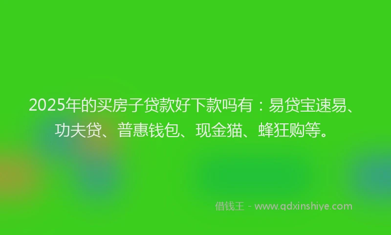 2025年的买房子贷款好下款吗有：易贷宝速易、功夫贷、普惠钱包、现金猫、蜂狂购等。