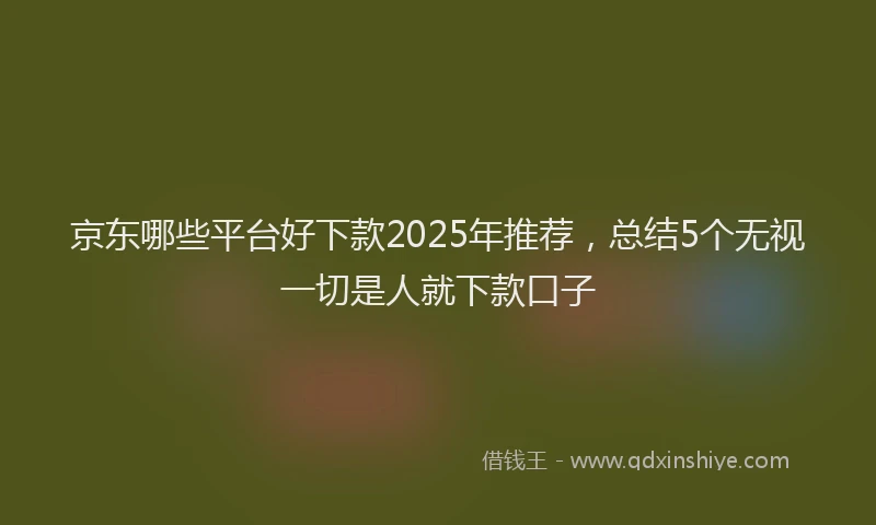 京东哪些平台好下款2025年推荐，总结5个无视一切是人就下款口子