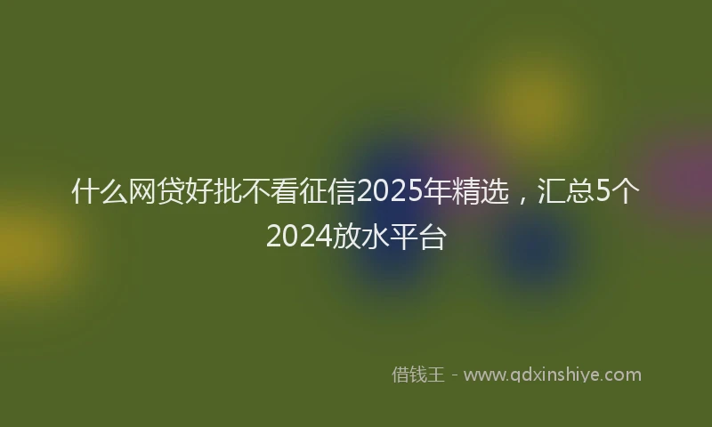 什么网贷好批不看征信2025年精选，汇总5个2024放水平台