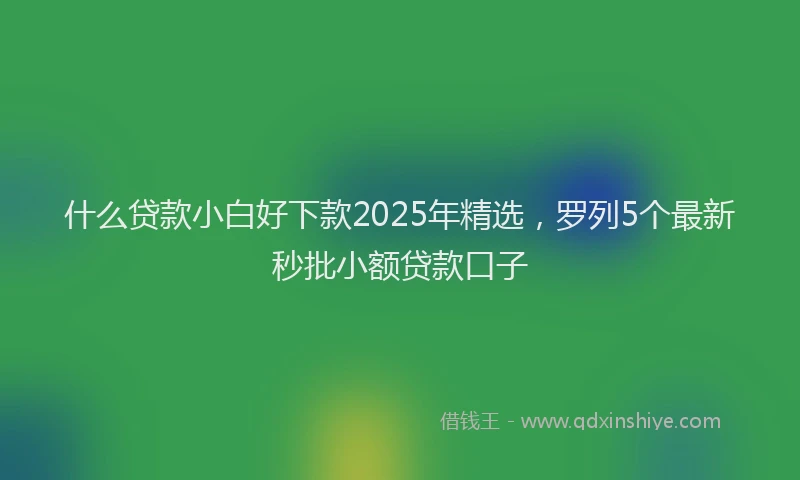 什么贷款小白好下款2025年精选，罗列5个最新秒批小额贷款口子