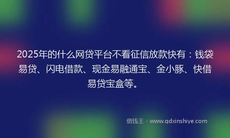2025年的什么网贷平台不看征信放款快有：钱袋易贷、闪电借款、现金易融通宝、金小豚、快借易贷宝盒等。