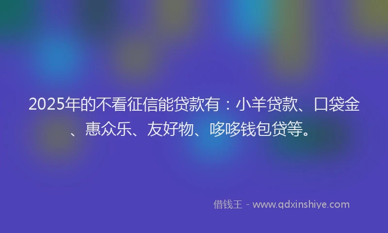2025年的不看征信能贷款有：小羊贷款、口袋金、惠众乐、友好物、哆哆钱包贷等。
