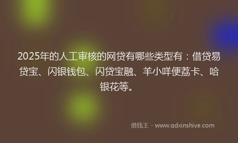 2025年的人工审核的网贷有哪些类型有：借贷易贷宝、闪银钱包、闪贷宝融、羊小咩便荔卡、哈银花等。