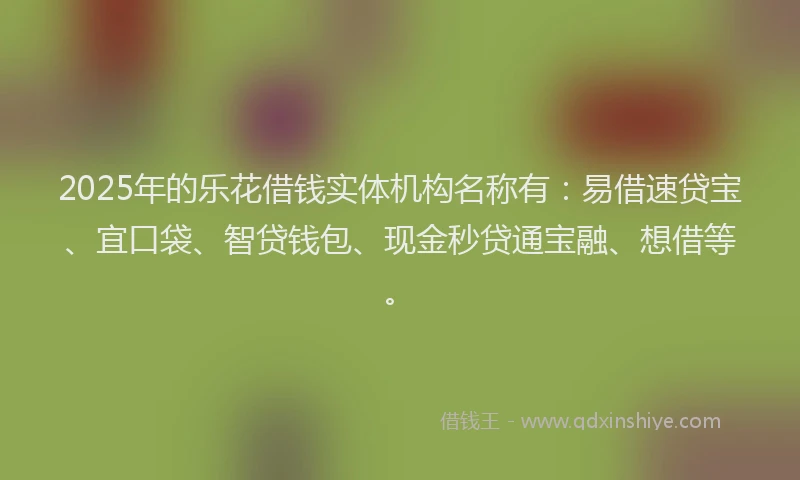 2025年的乐花借钱实体机构名称有：易借速贷宝、宜口袋、智贷钱包、现金秒贷通宝融、想借等。