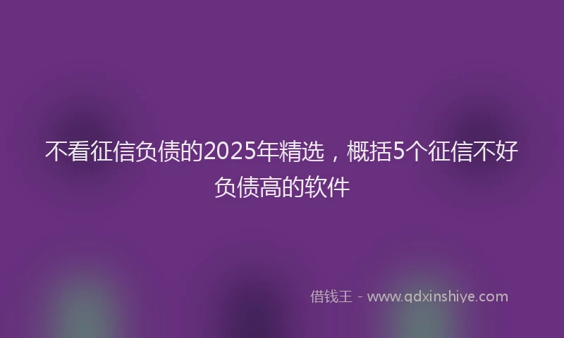 不看征信负债的2025年精选，概括5个征信不好负债高的软件