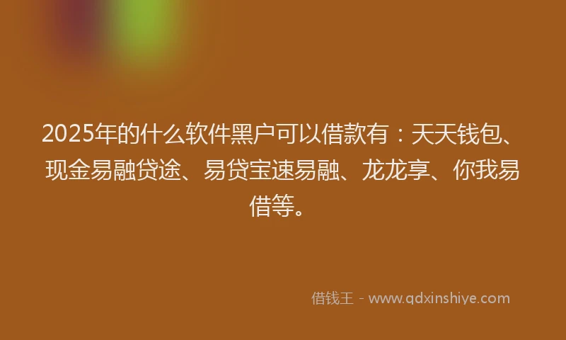 2025年的什么软件黑户可以借款有：天天钱包、现金易融贷途、易贷宝速易融、龙龙享、你我易借等。