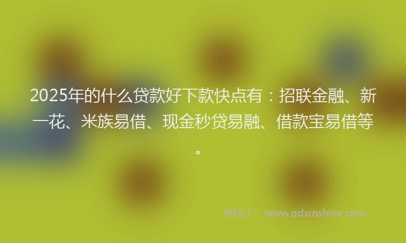2025年的什么贷款好下款快点有：招联金融、新一花、米族易借、现金秒贷易融、借款宝易借等。