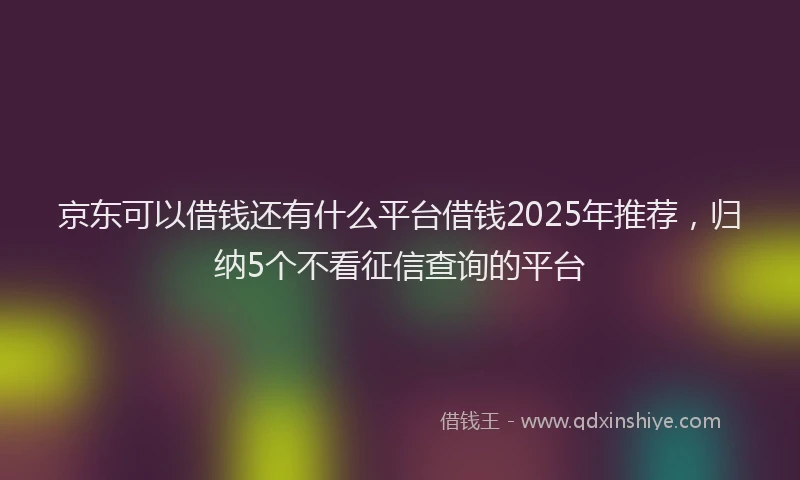 京东可以借钱还有什么平台借钱2025年推荐，归纳5个不看征信查询的平台