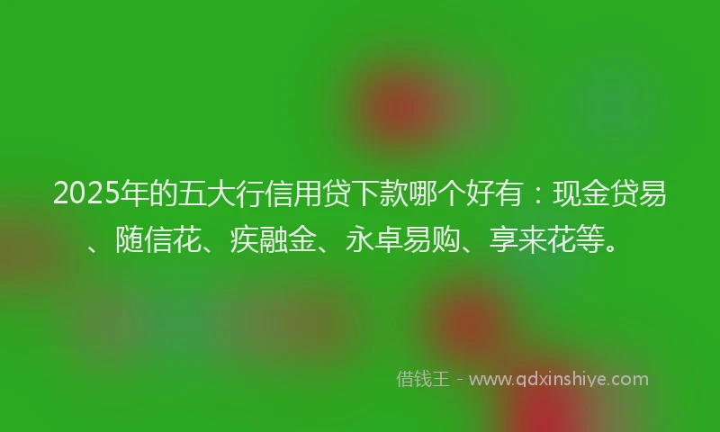 2025年的五大行信用贷下款哪个好有：现金贷易、随信花、疾融金、永卓易购、享来花等。