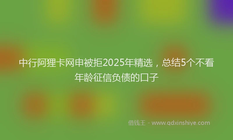 中行阿狸卡网申被拒2025年精选，总结5个不看年龄征信负债的口子