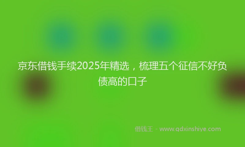 京东借钱手续2025年精选，梳理五个征信不好负债高的口子