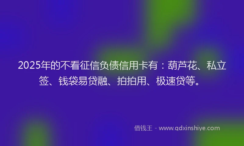2025年的不看征信负债信用卡有：葫芦花、私立签、钱袋易贷融、拍拍用、极速贷等。