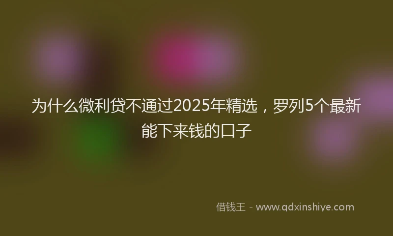 为什么微利贷不通过2025年精选，罗列5个最新能下来钱的口子