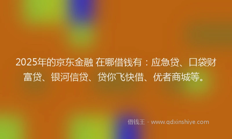 2025年的京东金融 在哪借钱有：应急贷、口袋财富贷、银河信贷、贷你飞快借、优者商城等。