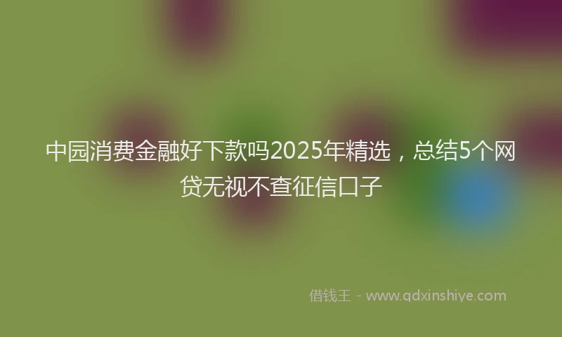 中园消费金融好下款吗2025年精选，总结5个网贷无视不查征信口子
