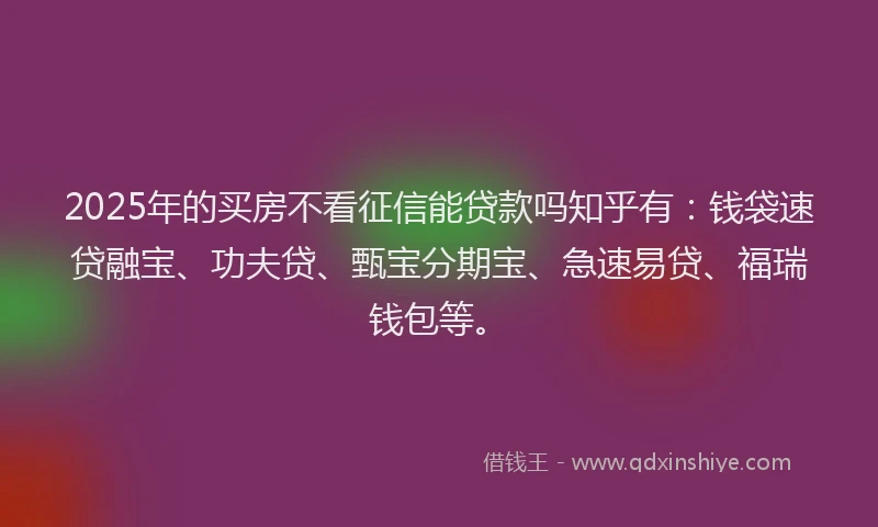 2025年的买房不看征信能贷款吗知乎有：钱袋速贷融宝、功夫贷、甄宝分期宝、急速易贷、福瑞钱包等。