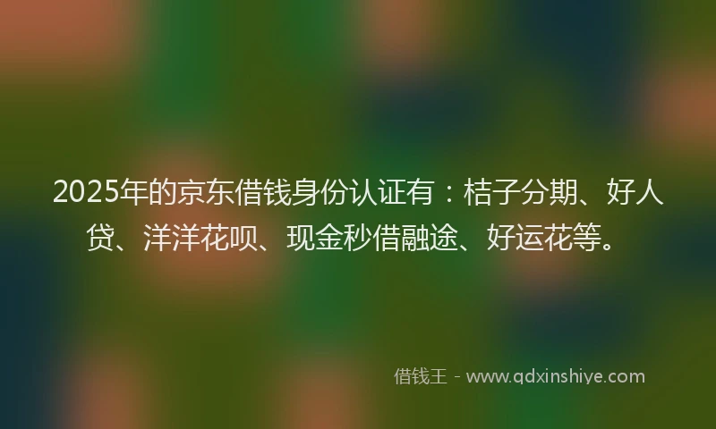 2025年的京东借钱身份认证有：桔子分期、好人贷、洋洋花呗、现金秒借融途、好运花等。