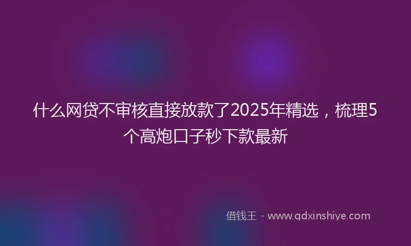 什么网贷不审核直接放款了2025年精选，梳理5个高炮口子秒下款最新