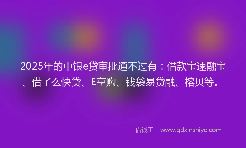 2025年的中银e贷审批通不过有：借款宝速融宝、借了么快贷、E享购、钱袋易贷融、榕贝等。