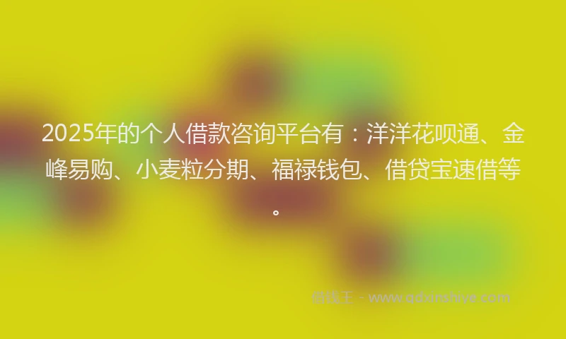 2025年的个人借款咨询平台有：洋洋花呗通、金峰易购、小麦粒分期、福禄钱包、借贷宝速借等。