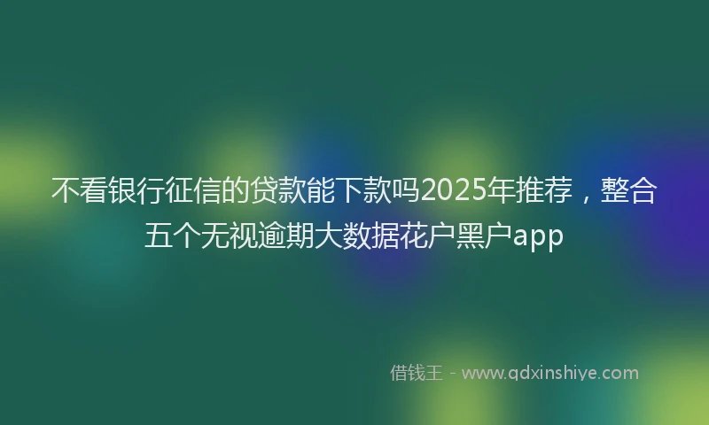 不看银行征信的贷款能下款吗2025年推荐，整合五个无视逾期大数据花户黑户app