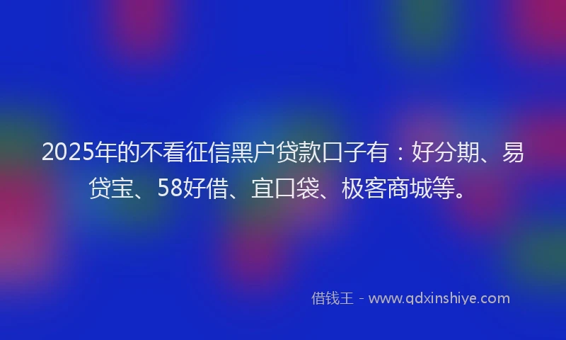 2025年的不看征信黑户贷款口子有：好分期、易贷宝、58好借、宜口袋、极客商城等。
