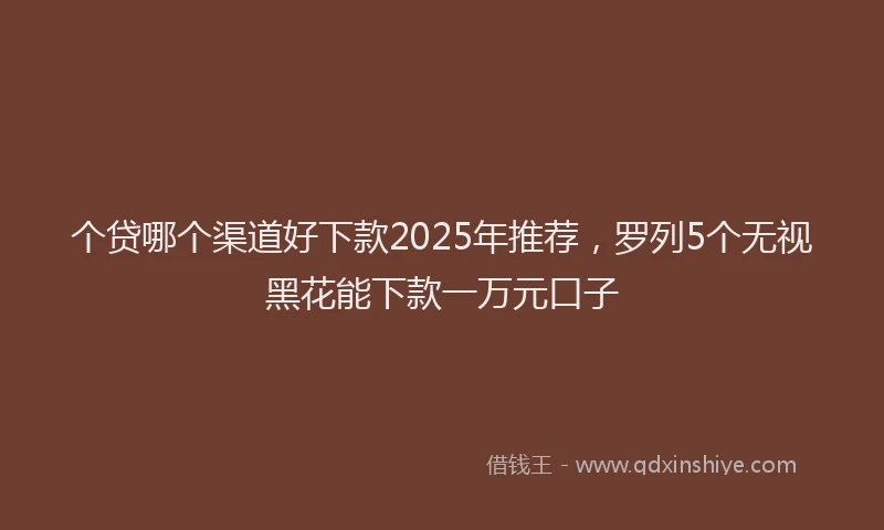 个贷哪个渠道好下款2025年推荐，罗列5个无视黑花能下款一万元口子