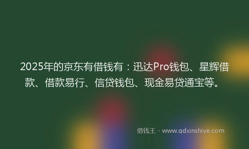 2025年的京东有借钱有：迅达Pro钱包、星辉借款、借款易行、信贷钱包、现金易贷通宝等。