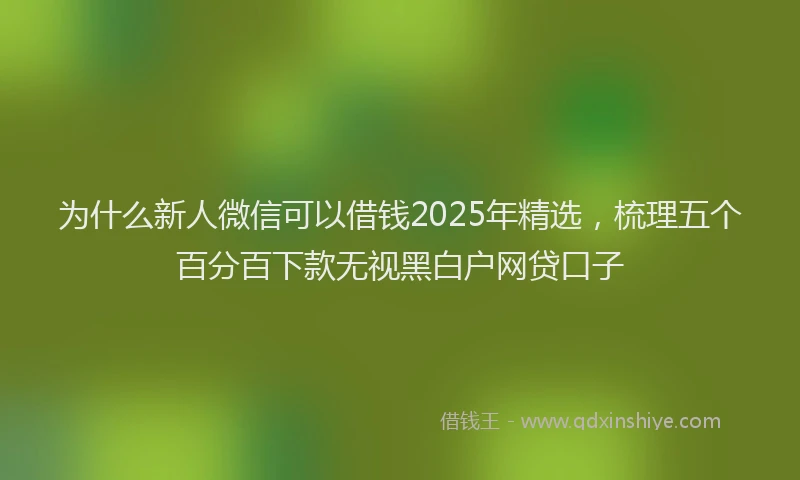 为什么新人微信可以借钱2025年精选，梳理五个百分百下款无视黑白户网贷口子