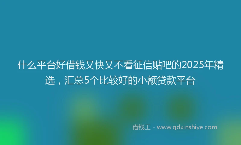 什么平台好借钱又快又不看征信贴吧的2025年精选，汇总5个比较好的小额贷款平台